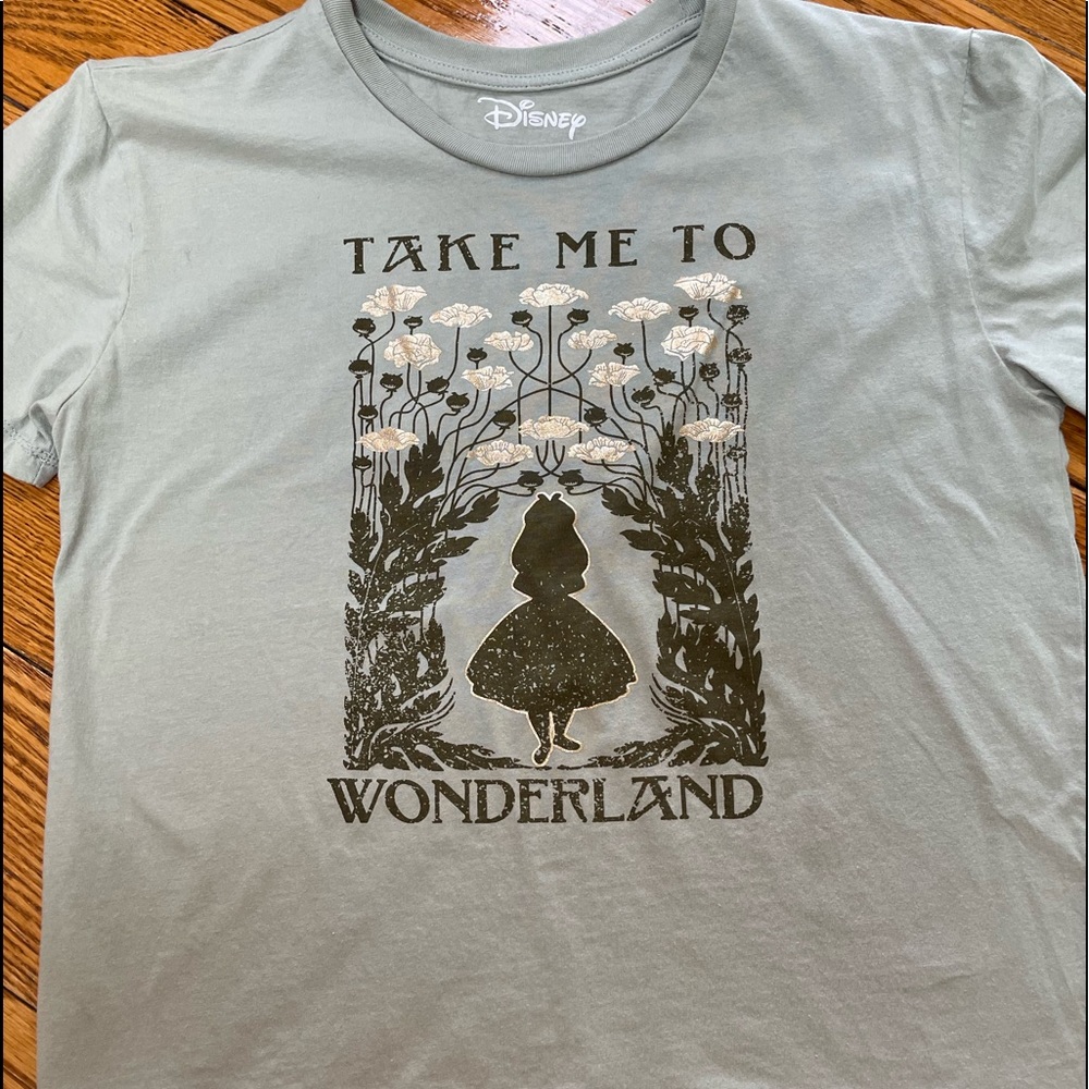 Disney “Take Me To Wonderland” green tee shirt.  Juniors Large. Great condition.